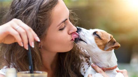 donne che inculano gli uomini|Film con cane e donne che scopano